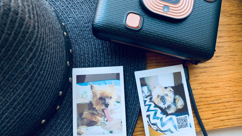 The pic on the left was from my camera roll. The one on the right was taken with the LiPlay. One is clearly better, but less candid, than the other.